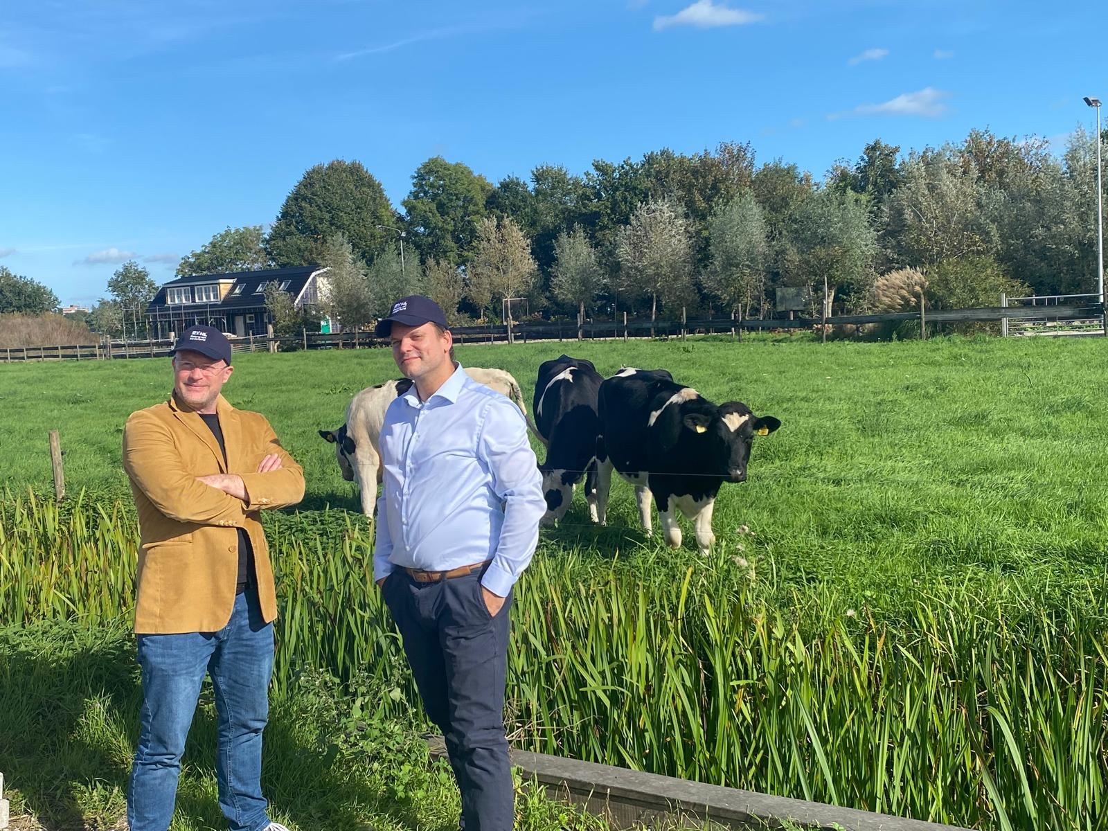 Taaf en Niels bij de koeien in het weiland